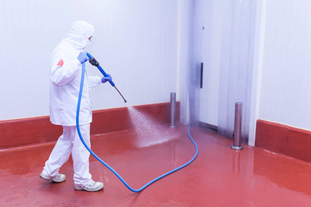 Best Dumpster Area Cleaning  in Holley, FL